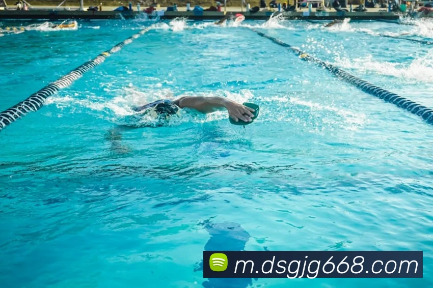 东升国际平台生态图