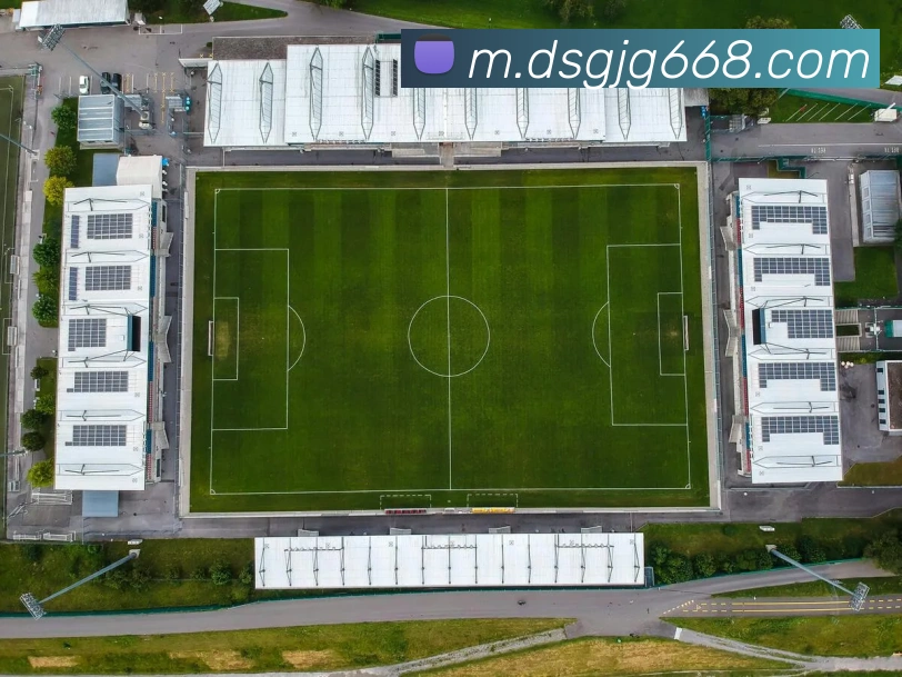 东升国际全站App