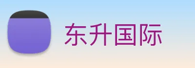 东升国际 Logo